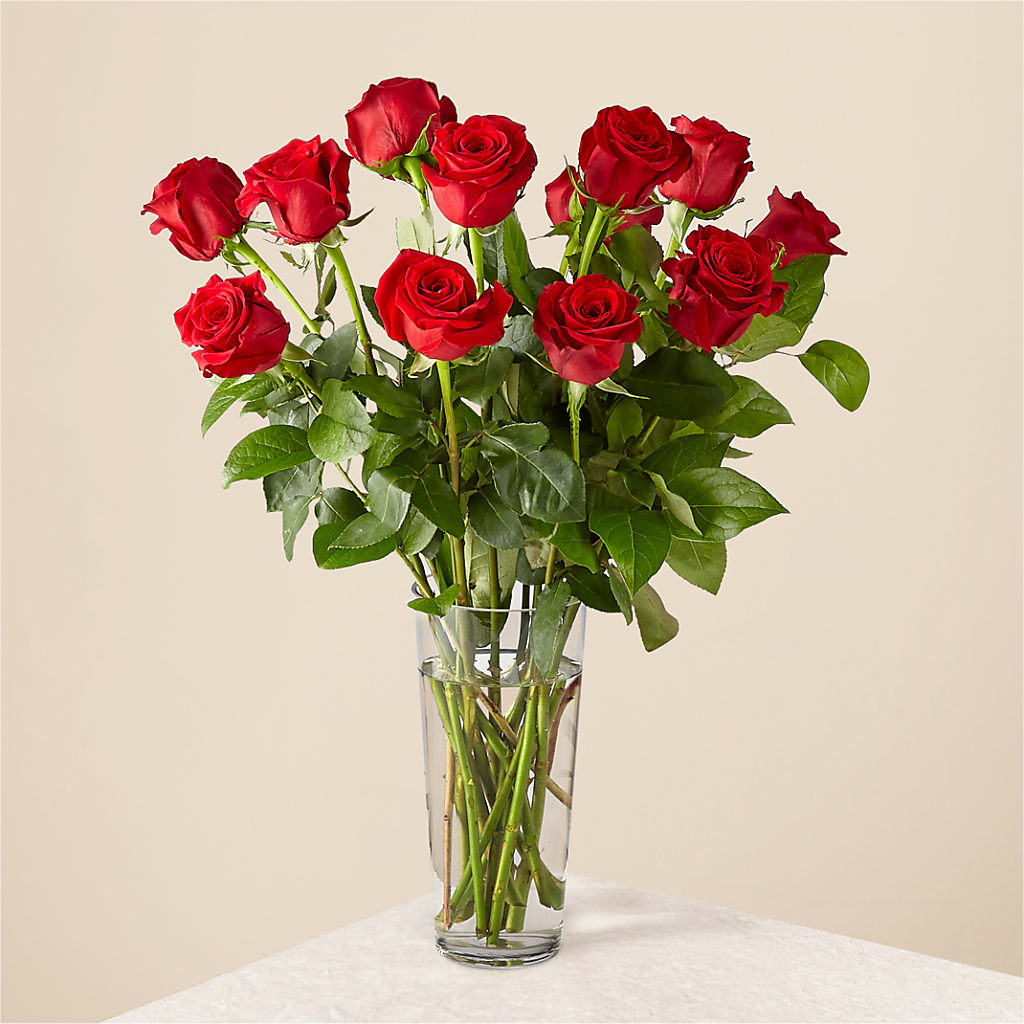 Long Stem Red Rose Bouquet – 175 MERCANTILE FLORAL & GIFT, Lake City IA