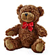 Adorable Plush Bear – 175 MERCANTILE FLORAL & GIFT, Lake City IA