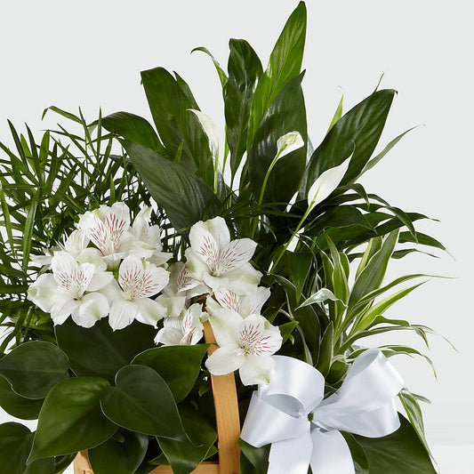 Peace & Serenity Dishgarden – 175 MERCANTILE FLORAL & GIFT, Lake City IA