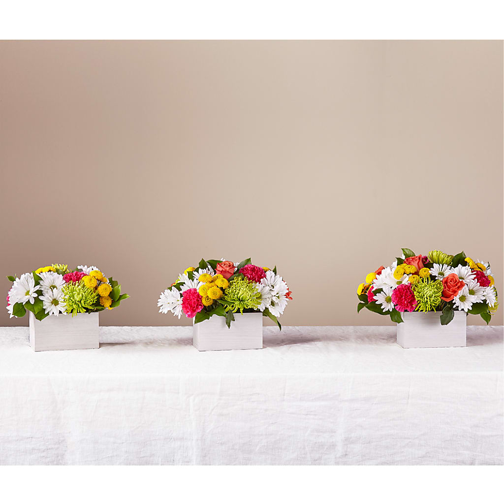 Sorbet Bouquet – 175 MERCANTILE FLORAL & GIFT, Lake City IA
