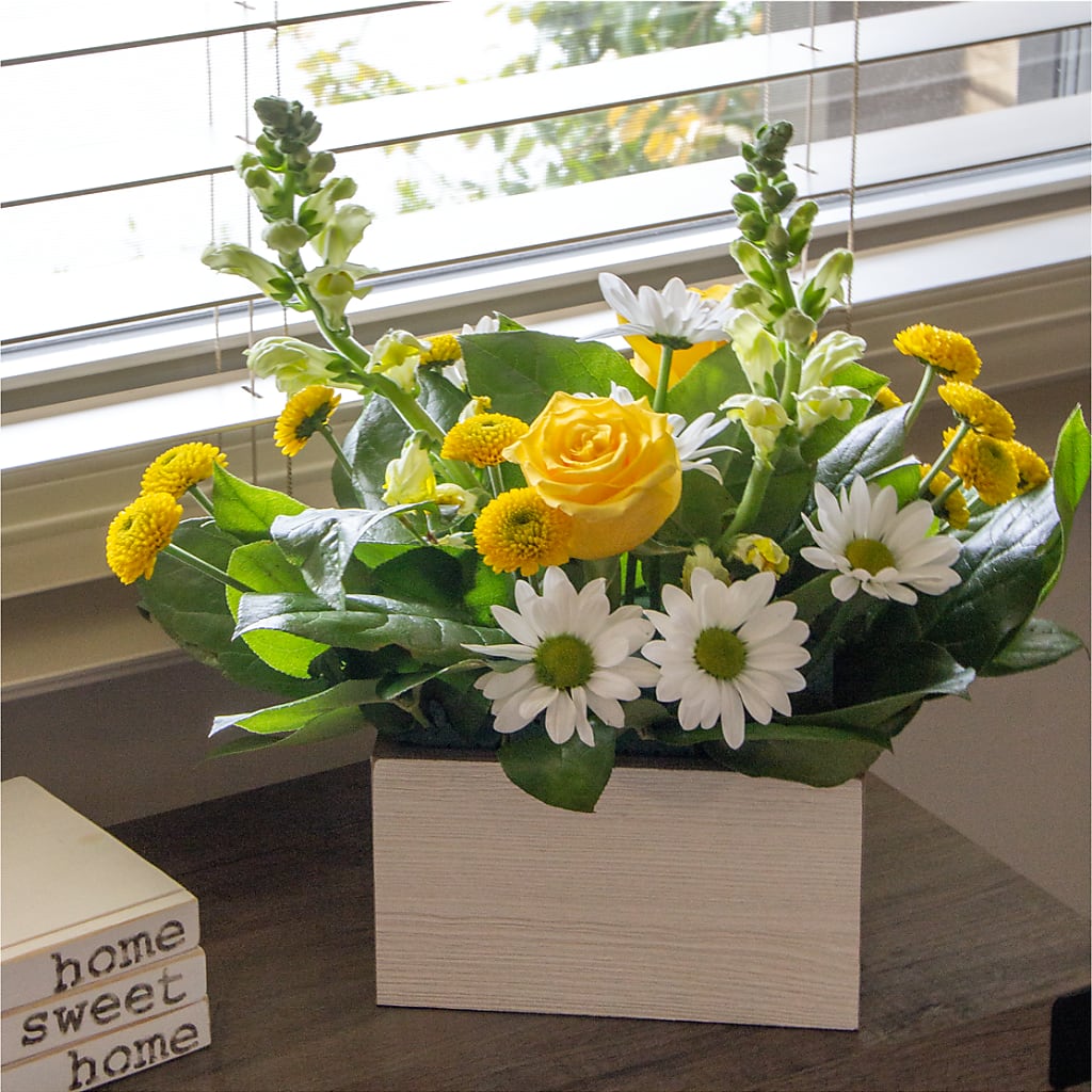 Sun Salutation Box Bouquet – 175 MERCANTILE FLORAL & GIFT, Lake City IA