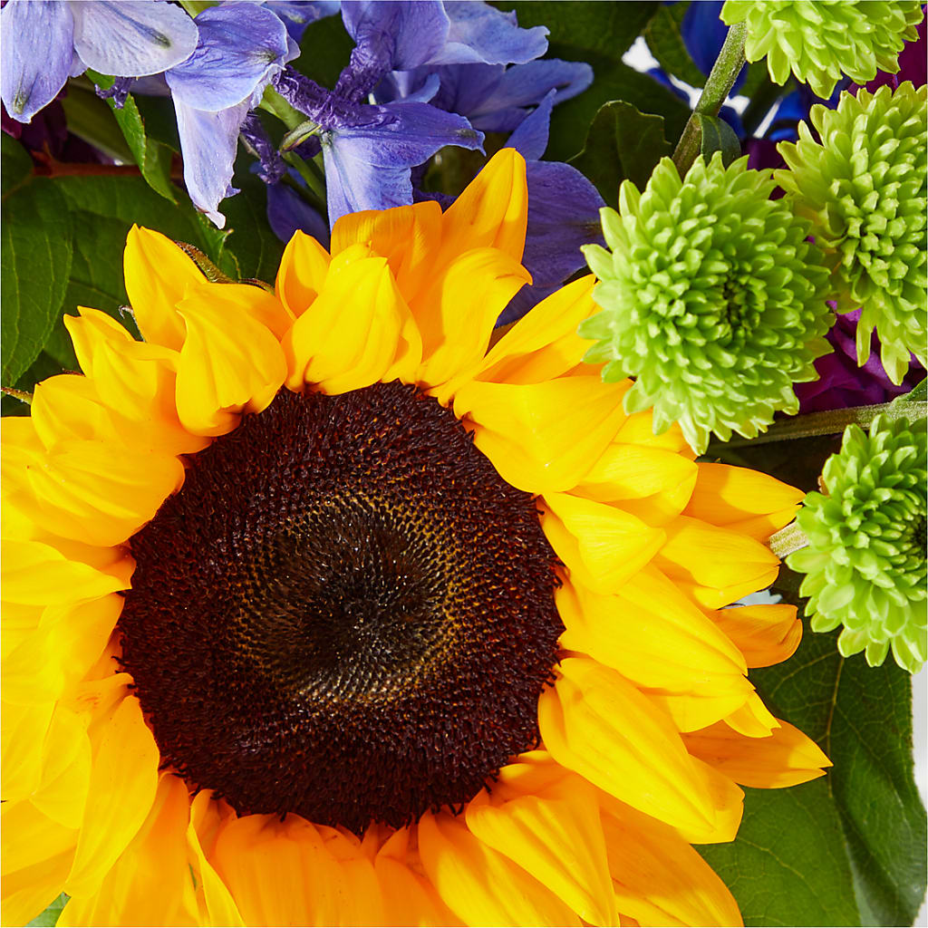 Catching Rays Bouquet – 175 MERCANTILE FLORAL & GIFT, Lake City IA