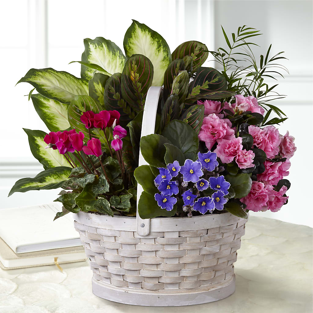 Peaceful Garden Planter – 175 MERCANTILE FLORAL & GIFT, Lake City IA
