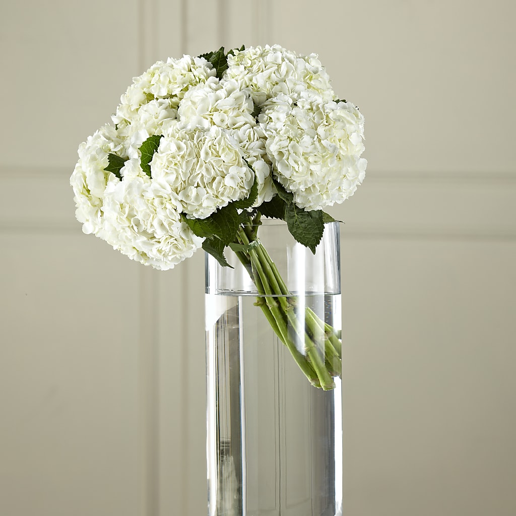 White Hydrangea Hand-Tied Bouquet – 175 MERCANTILE FLORAL & GIFT, Lake City IA