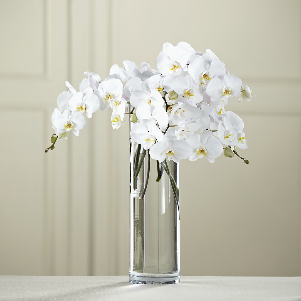 White Phalaenopsis Bouquet – 175 MERCANTILE FLORAL & GIFT, Lake City IA