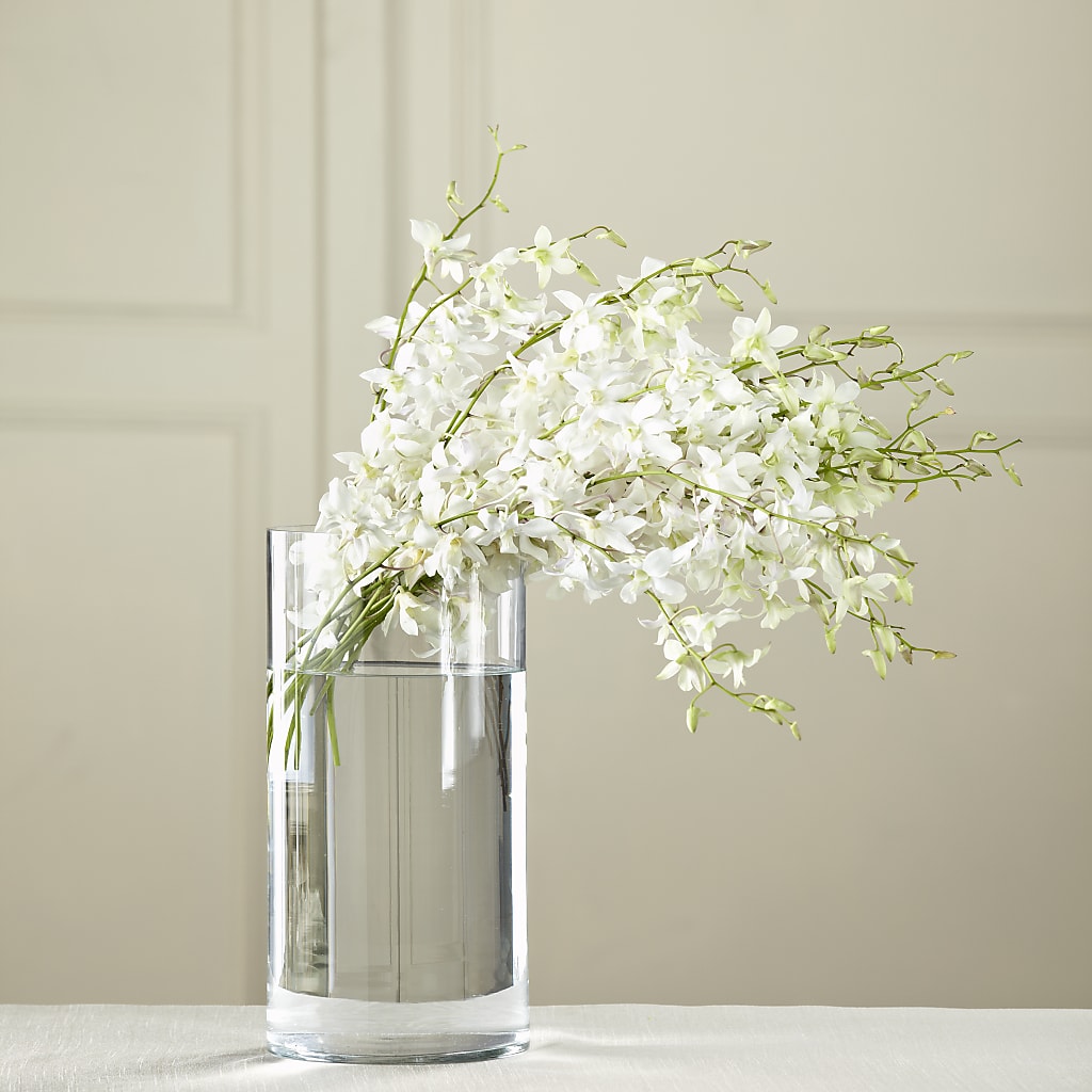 White Dendrobium Bouquet – 175 MERCANTILE FLORAL & GIFT, Lake City IA