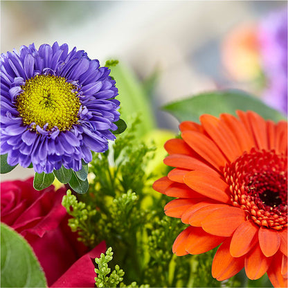 Bold & Bright – A Florist Original – 175 MERCANTILE FLORAL & GIFT, Lake City IA