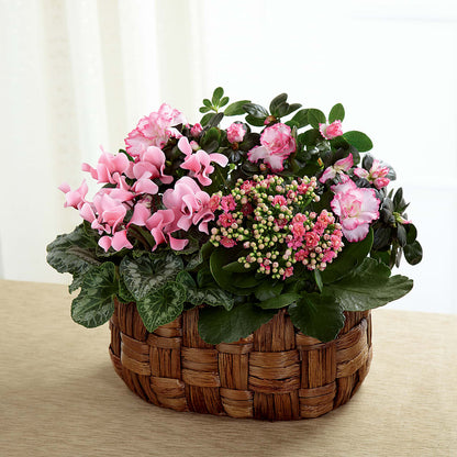 Pink Assortment – 175 MERCANTILE FLORAL & GIFT, Lake City IA