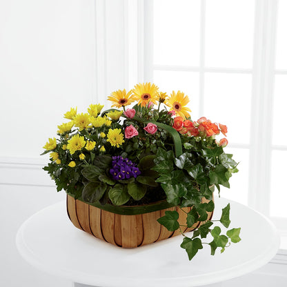 Gentle Blossoms Basket – 175 MERCANTILE FLORAL & GIFT, Lake City IA