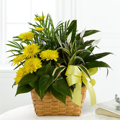 Loving Light Dishgarden – 175 MERCANTILE FLORAL & GIFT, Lake City IA