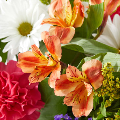 Oopsie Daisy Box Bouquet – 175 MERCANTILE FLORAL & GIFT, Lake City IA