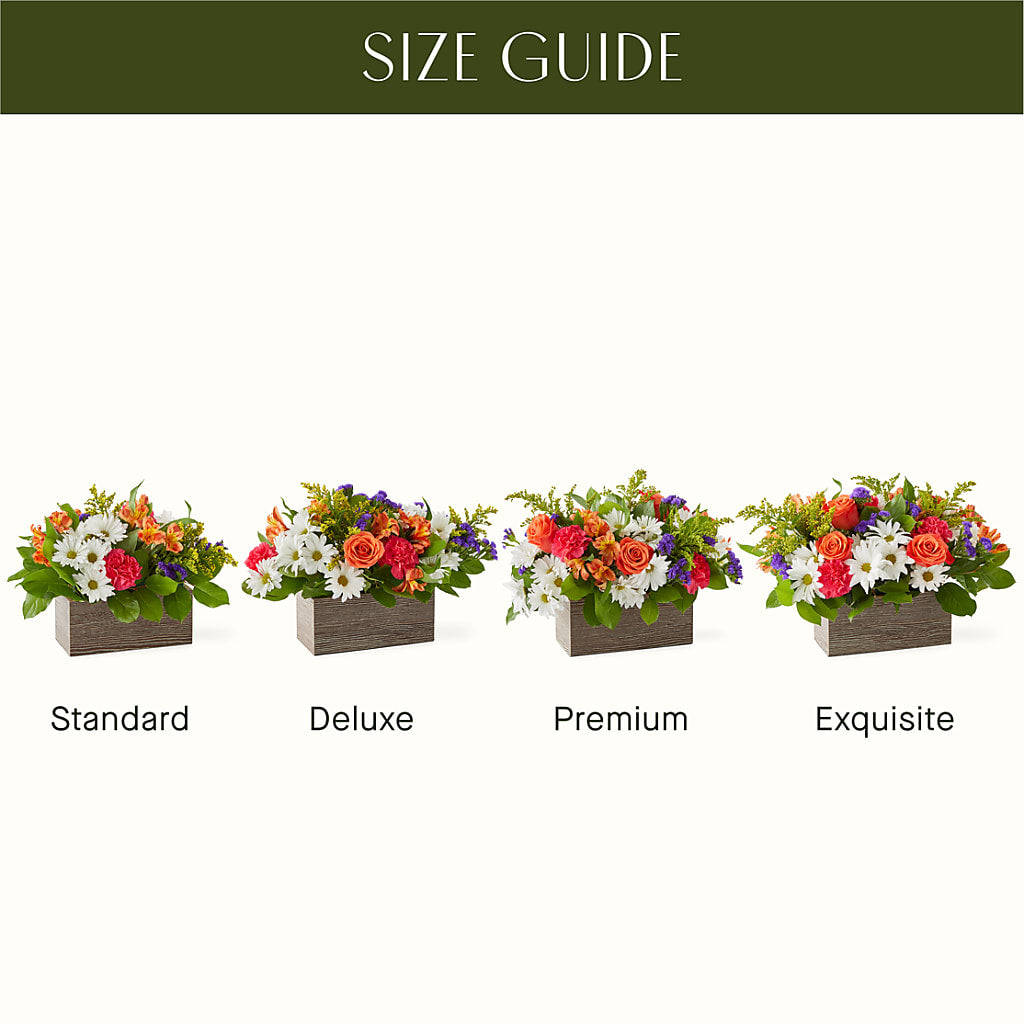 Oopsie Daisy Box Bouquet – 175 MERCANTILE FLORAL & GIFT, Lake City IA