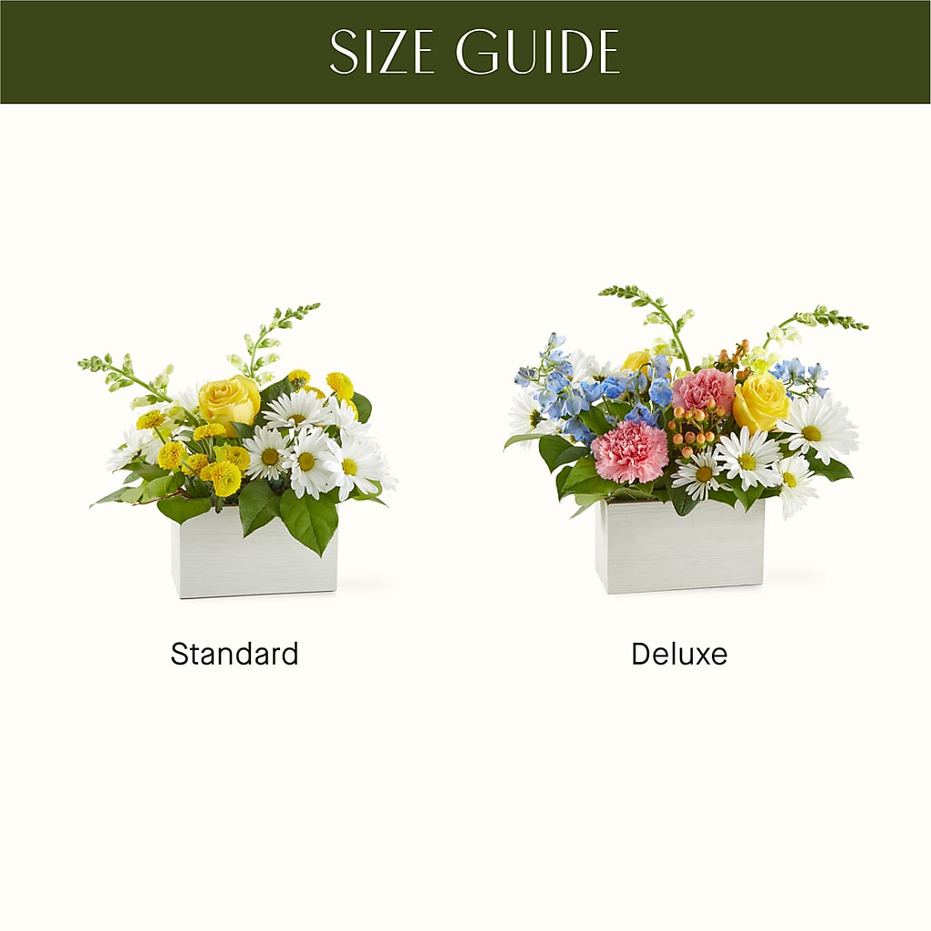 Sun Salutation Box Bouquet – 175 MERCANTILE FLORAL & GIFT, Lake City IA