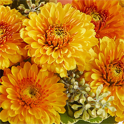 Peachy Pumpkin – 175 MERCANTILE FLORAL & GIFT, Lake City IA