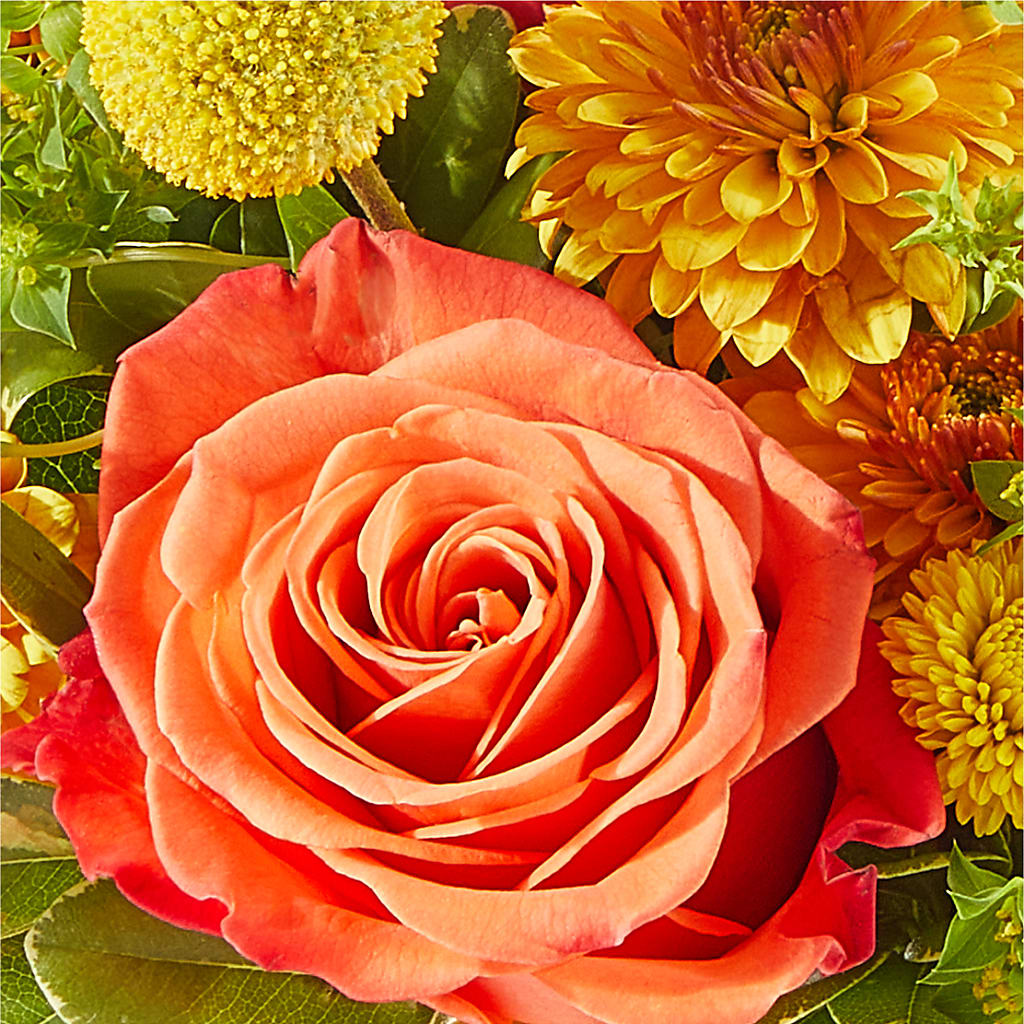 Gourdgeous Pumpkin – 175 MERCANTILE FLORAL & GIFT, Lake City IA