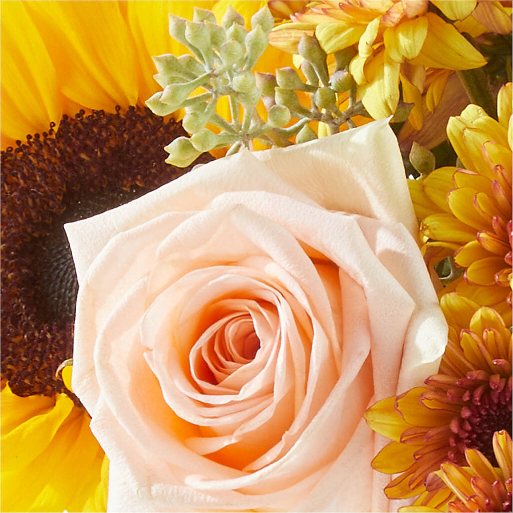 Pumpkin to Talk About Bouquet – 175 MERCANTILE FLORAL & GIFT, Lake City IA