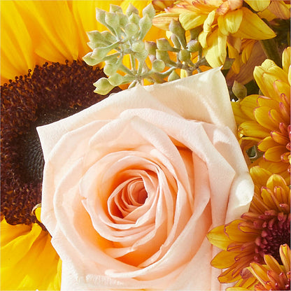 Pumpkin to Talk About Bouquet – 175 MERCANTILE FLORAL & GIFT, Lake City IA