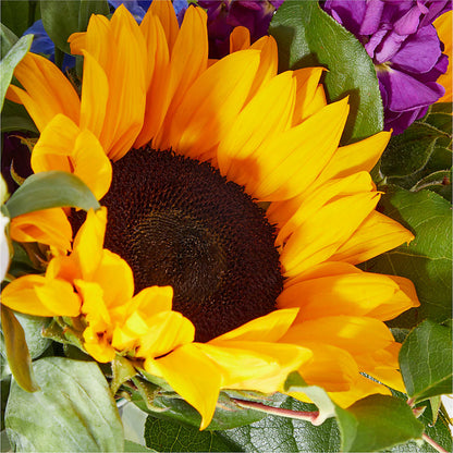Catching Rays Bouquet – 175 MERCANTILE FLORAL & GIFT, Lake City IA