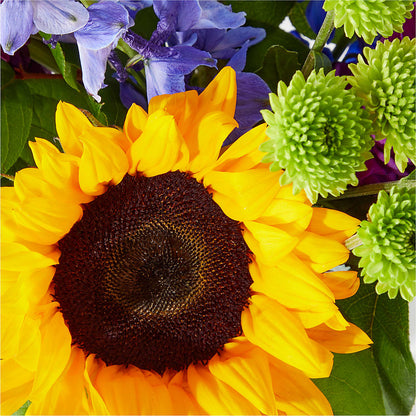 Catching Rays Bouquet – 175 MERCANTILE FLORAL & GIFT, Lake City IA