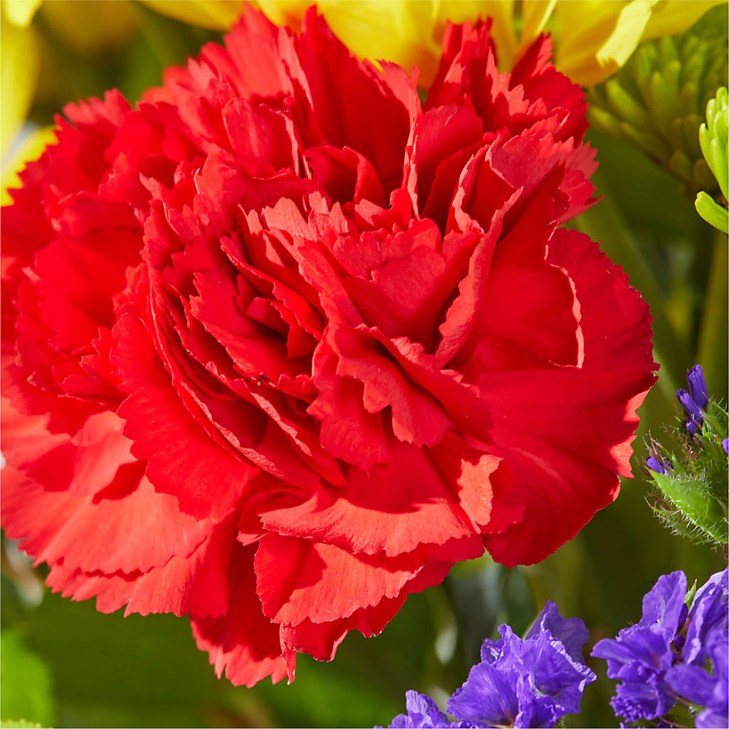 Brighter Days Bouquet – 175 MERCANTILE FLORAL & GIFT, Lake City IA