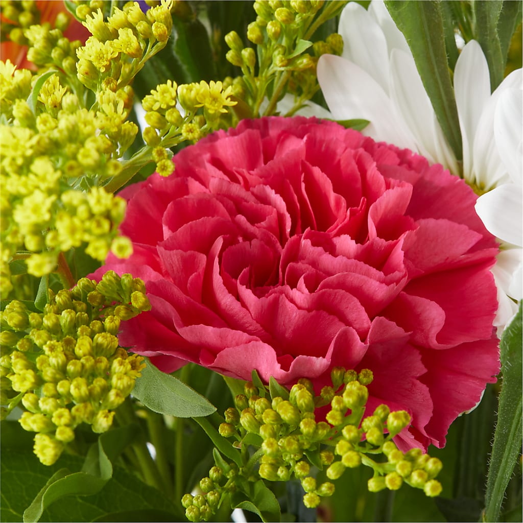 Oopsie Daisy Bouquet – 175 MERCANTILE FLORAL & GIFT, Lake City IA