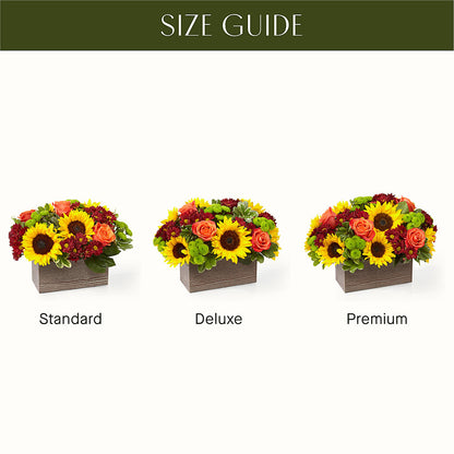 Happy Harvest Garden – 175 MERCANTILE FLORAL & GIFT, Lake City IA