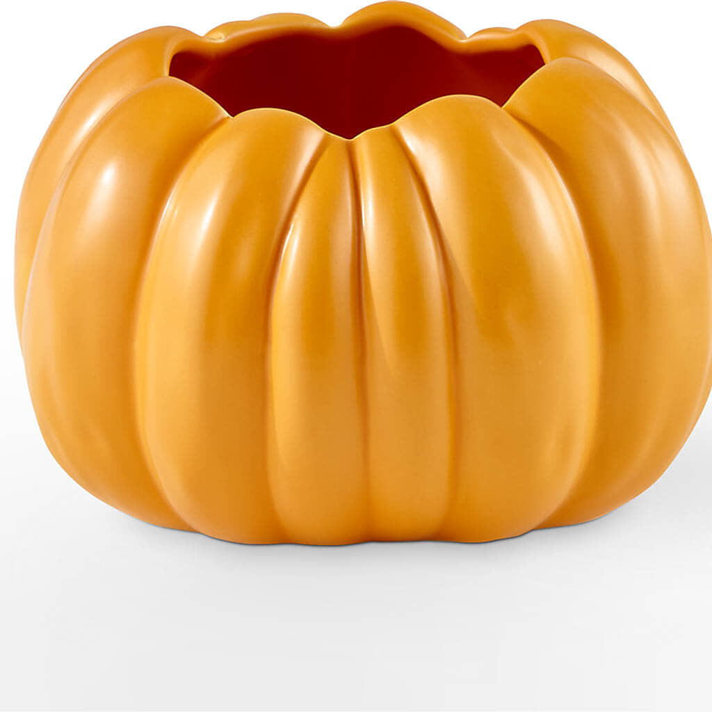 Pick of the Patch Pumpkin Bouquet – 175 MERCANTILE FLORAL & GIFT, Lake City IA