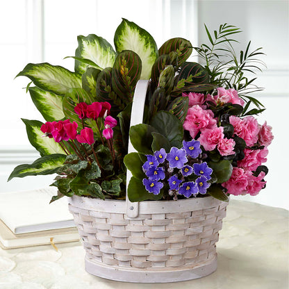 Peaceful Garden Planter – 175 MERCANTILE FLORAL & GIFT, Lake City IA