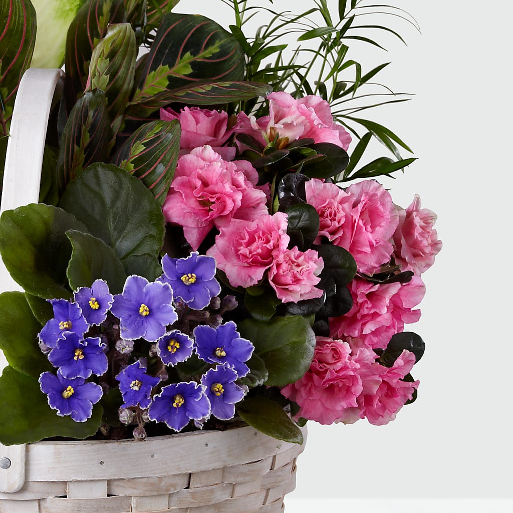 Peaceful Garden Planter – 175 MERCANTILE FLORAL & GIFT, Lake City IA