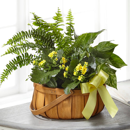 Always Dear Dishgarden – 175 MERCANTILE FLORAL & GIFT, Lake City IA