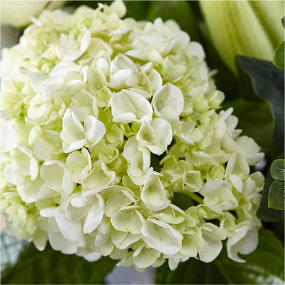Classic Ivory – A Florist Original – 175 MERCANTILE FLORAL & GIFT, Lake City IA