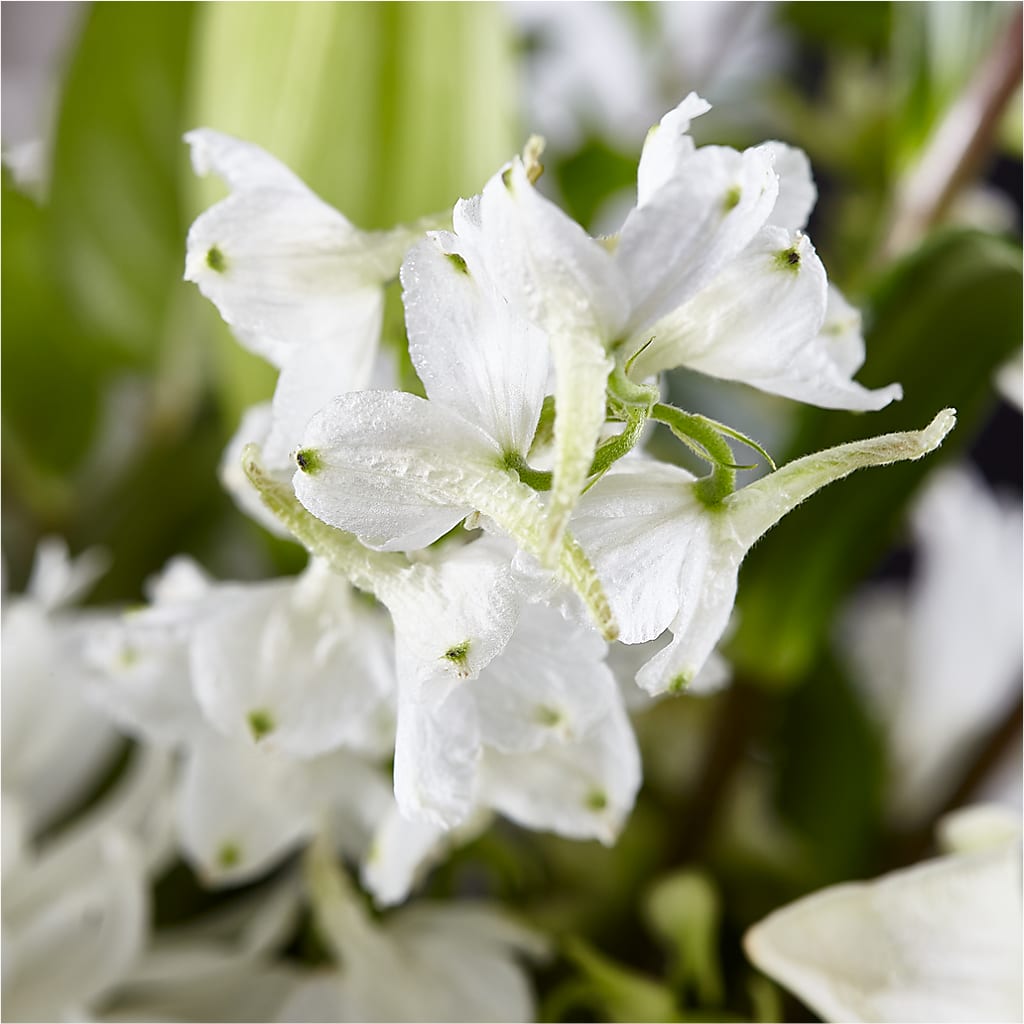 Classic Ivory – A Florist Original – 175 MERCANTILE FLORAL & GIFT, Lake City IA