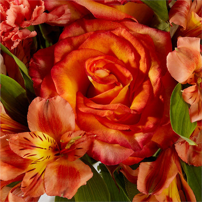 Apricot Glow Bouquet – 175 MERCANTILE FLORAL & GIFT, Lake City IA
