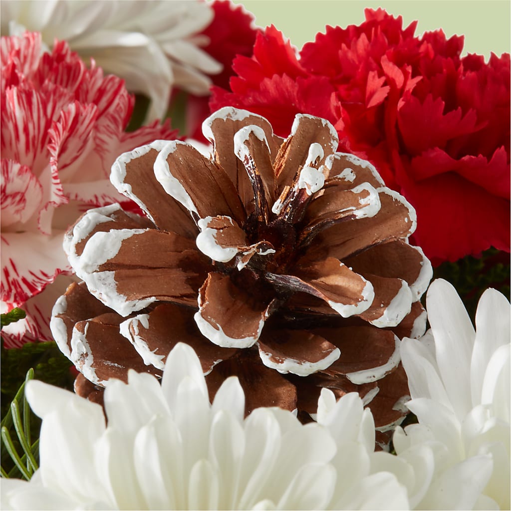 Candy Cane Lane Bouquet – 175 MERCANTILE FLORAL & GIFT, Lake City IA