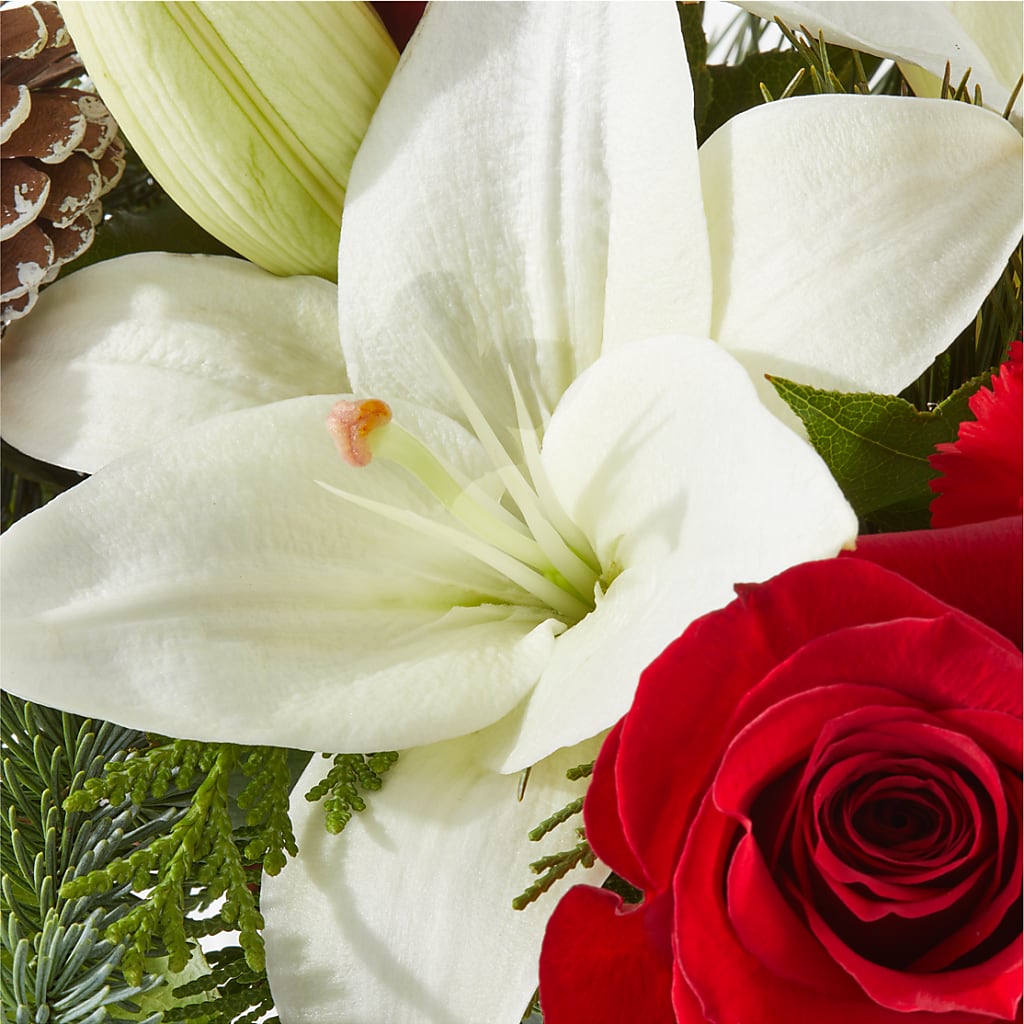 Oh So Jolly Bouquet – 175 MERCANTILE FLORAL & GIFT, Lake City IA