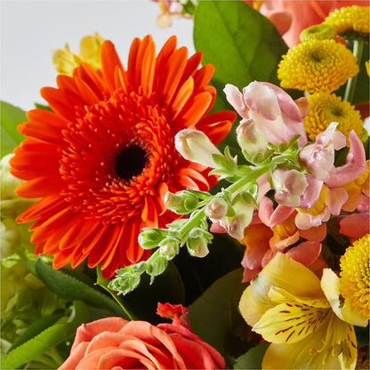 Autumn Sunshine Bouquet – 175 MERCANTILE FLORAL & GIFT, Lake City IA