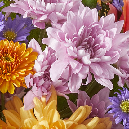 Countryside Bouquet – 175 MERCANTILE FLORAL & GIFT, Lake City IA