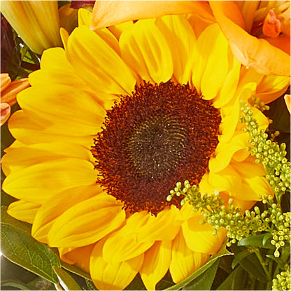 Seasons Change Bouquet – 175 MERCANTILE FLORAL & GIFT, Lake City IA