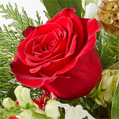 Deck the Halls Bouquet – 175 MERCANTILE FLORAL & GIFT, Lake City IA