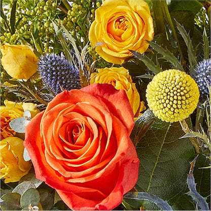 Disco Bouquet – 175 MERCANTILE FLORAL & GIFT, Lake City IA
