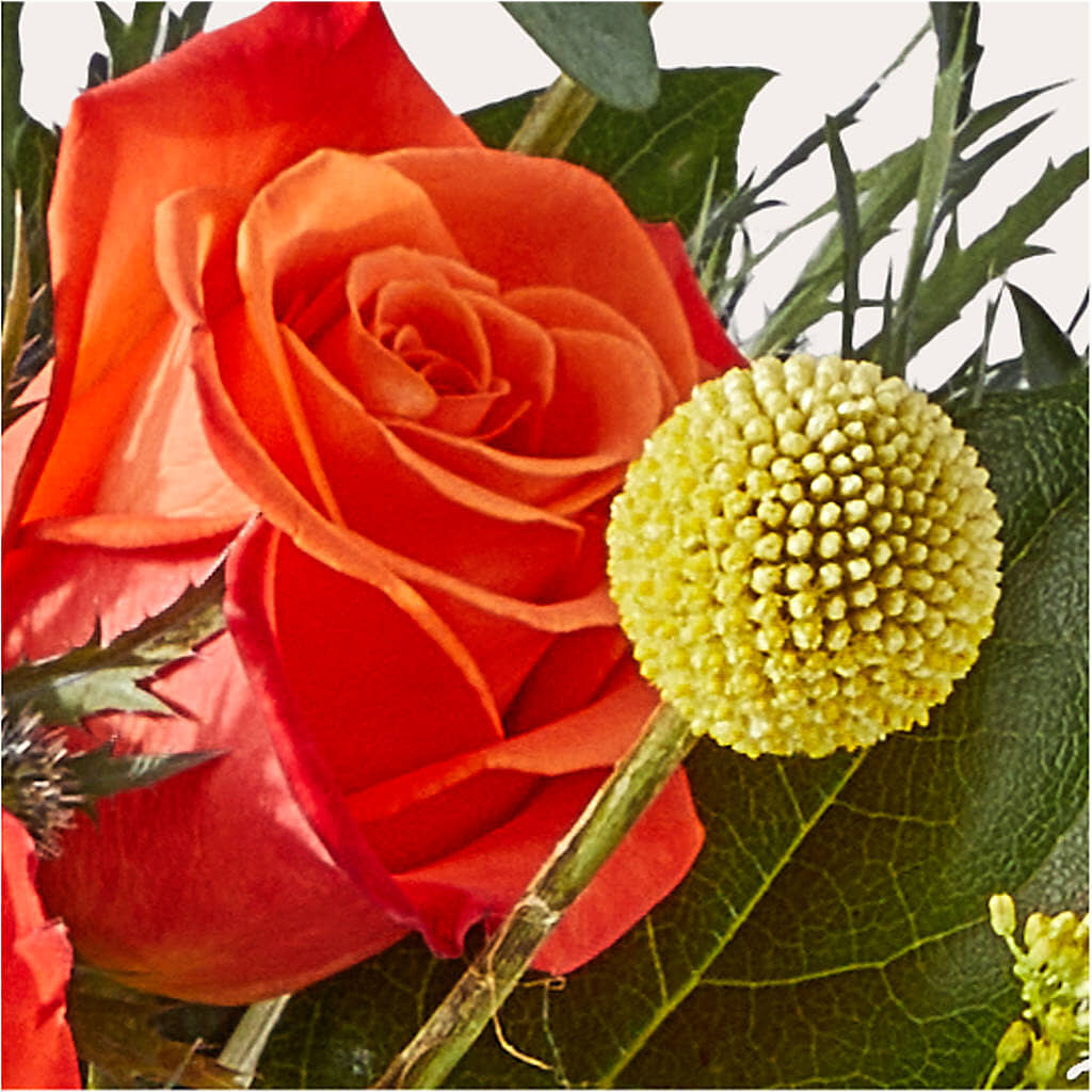 Disco Bouquet – 175 MERCANTILE FLORAL & GIFT, Lake City IA