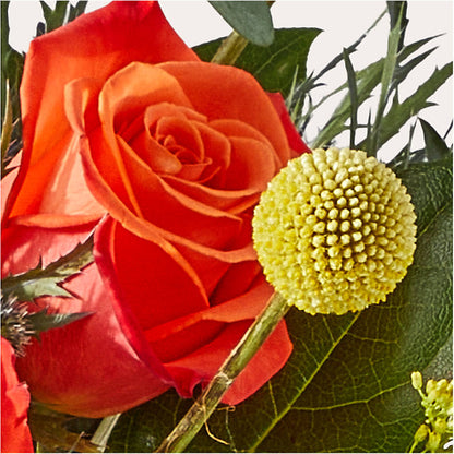 Disco Bouquet – 175 MERCANTILE FLORAL & GIFT, Lake City IA