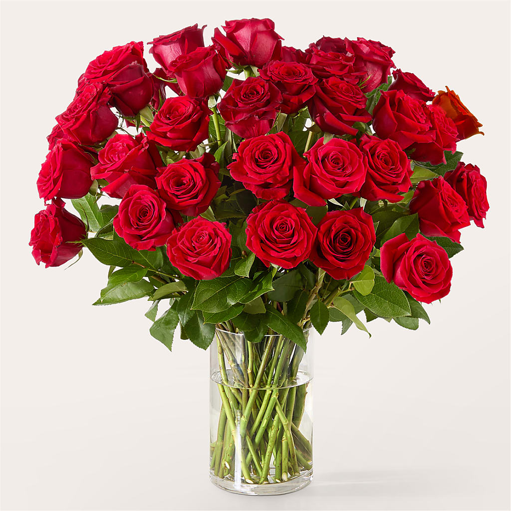 The One Red Rose Bouquet – 175 MERCANTILE FLORAL & GIFT, Lake City IA