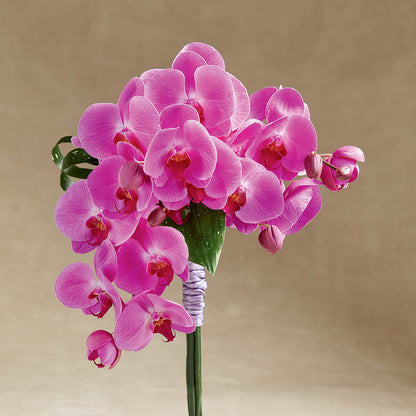 Glorious Bouquet – 175 MERCANTILE FLORAL & GIFT, Lake City IA