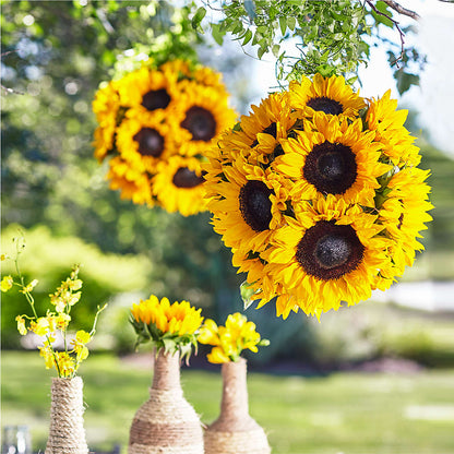 Sublime Garden Hanging Arrangement – 175 MERCANTILE FLORAL & GIFT, Lake City IA