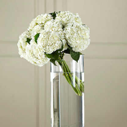 White Hydrangea Hand-Tied Bouquet – 175 MERCANTILE FLORAL & GIFT, Lake City IA