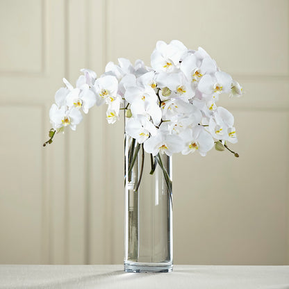 White Phalaenopsis Bouquet – 175 MERCANTILE FLORAL & GIFT, Lake City IA